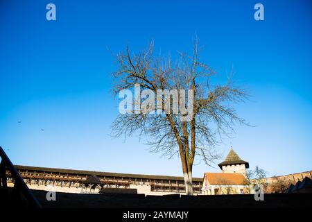 Nachbarschaft der alten Burg Lubart in Lutsk, Ukraine. Stockfoto