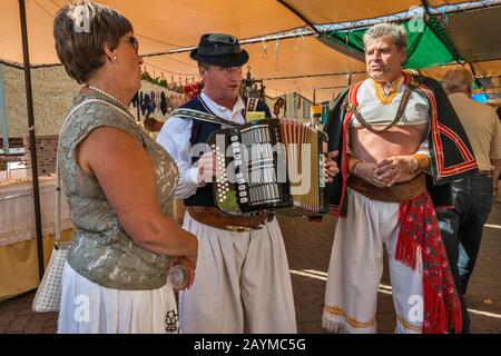 Akkordeonspieler und Sänger auf der Straßenmesse in Banska Bystrica, Slowakei, Mitteleuropa Stockfoto