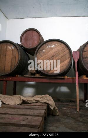 Frisch geräucherte Würstchen und Wein in einem Fass in einem Keller für den Urlaub Stockfoto