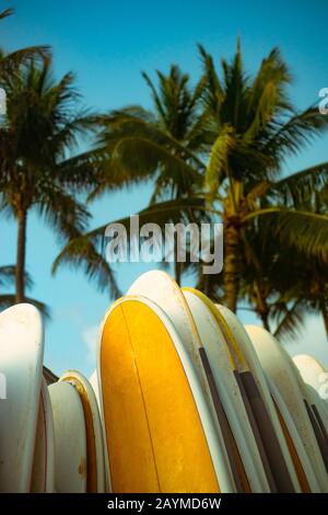 Reihe von Surfbrettern am Strand auf den hawaiischen Inseln Mit Palmen und blauem Himmel im Hintergrund Stockfoto