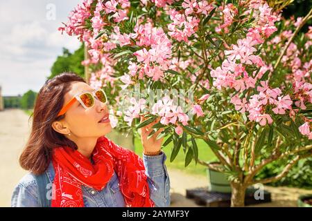 Frau schnüffelt Neriumoleanderblüten im Garten Stockfoto