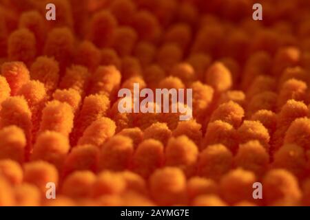 Wunderschönes Mikrofasertuch, leuchtend orangefarbene Mikrofaser. Mikrofaserstruktur mit einem weichen, großen Haufen. Oberflächenstruktur aus orangefarbenem Mikrofasergewebe Stockfoto