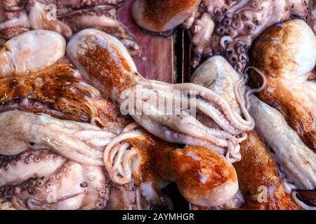 eingekokelt. Viel frischer Kraken auf dem Tisch. Szene auf dem Lebensmittelmarkt. Stockfoto