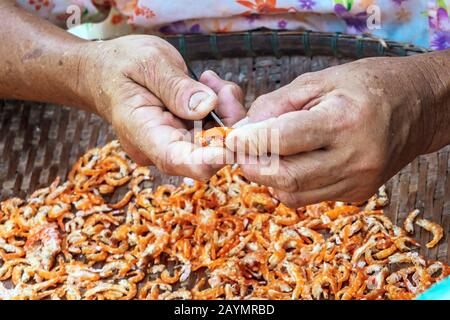 In der Nähe eines elderigen Fischers verwenden Sie ein kleines Messer, um unerwünschte Teile der Garnele auszuschneiden, was ein Schritt ist, um getrocknete Garnelen zum Verkauf zu bringen. Stockfoto