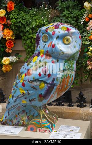 Bemalte Eule Sculpture's rund um das Bath City Center im Spätsommer 2018. Bath, somerset; England, Großbritannien Stockfoto