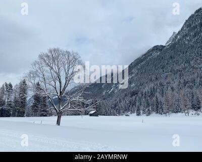 Winterberge Landschaft mit gepflegter Skipiste und dramatischem Himmel, Leutasch, Österreich. Stockfoto