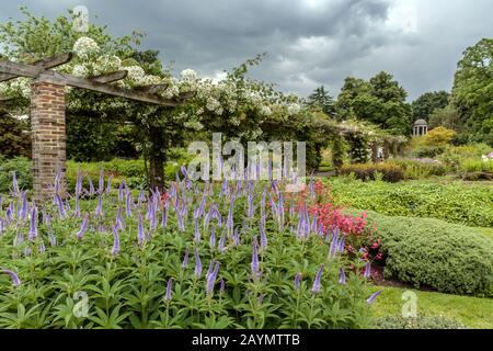 Blumenbeete und Pergola, The Royal Botanic Gardens, Kew, Surrey, London Borough of Richmond upon Thames, England. Stockfoto