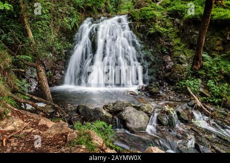 Der Tom Gill Wasserfall liegt unterhalb des malerischen Tarn Huws Beauty Spot, Lake District, Cumbria, England, Großbritannien Stockfoto