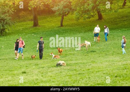 15. MAI 2018 BUDAPEST, UNGARN: Die Menschen laufen mit ihren Hunden auf dem Spielplatz im Stadtpark Stockfoto