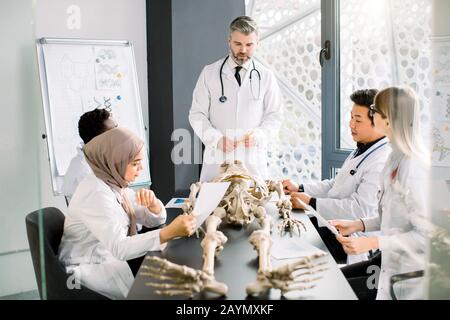 Lehrer für medizinische Ausbildung im Oberdienst, der Studenten oder jungen Ärzten, afrikanischen und asiatischen Männern, kaukasischen und muslimischen Mädchen, die im sitzen, Anatomie unterrichte Stockfoto