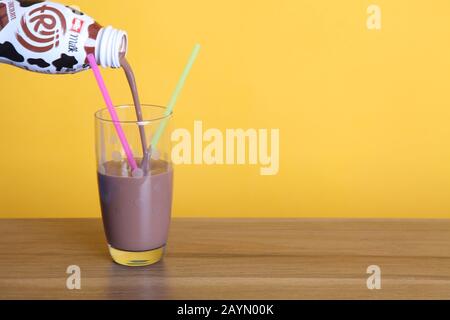 Gießen einer Muller Frijj Schokoladenmilch in ein halbes Pint Spottglas mit zwei Strohhalmen auf Holztisch mit Copyspace auf gelbem Hintergrund Stockfoto