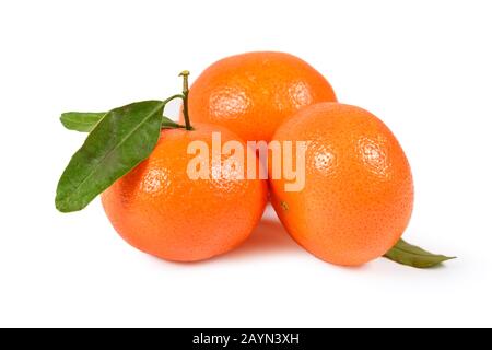 Mandarine oder Clementine bei grünen Blättern, isoliert auf weißem Hintergrund, isoliert mit Beschneidungspfad Stockfoto