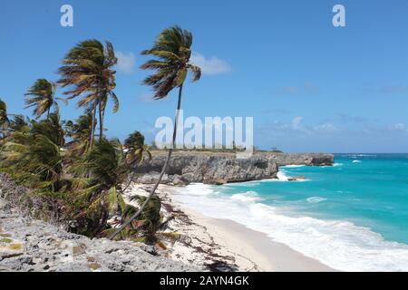 Barbados Fotoaktion, Bottom Bay Stockfoto