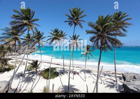 Barbados Fotoaktion, Bottom Bay Stockfoto