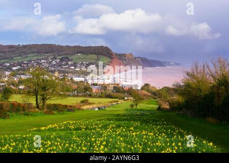 Sidmouth, Devon, Großbritannien. Februar 2020. Wetter in Großbritannien. Am späten Nachmittag bricht Sonnenschein durch die Wolken bei Sidmouth in Devon, als Storm Dennis zu räumen beginnt. Bildnachweis: Graham Hunt/Alamy Live News Stockfoto