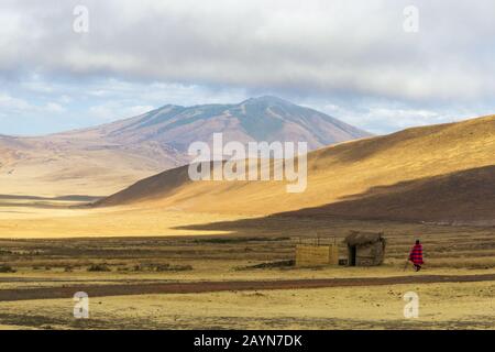 Landschaft mit einem undefinierten Maasai-Mann, der bei Sonnenuntergang in Tansania in Afrika in der Savanne spazieren geht Stockfoto