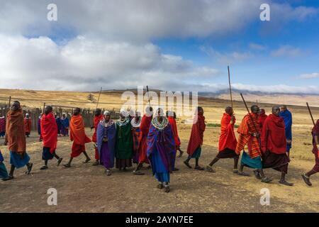 Ngorongoro, TANSANIA - 16. AUGUST 2019: Masai-Männer in bunter Kleidung führen einen rituellen Tanz durch Stockfoto