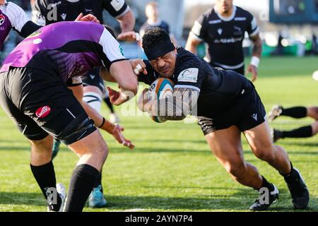 Newcastle, Großbritannien. Februar 2020. Newcastle UPON TYNE, ENGLAND - 16. FEBRUAR Sinoti Sinoti von Newcastle Falcons im Einsatz während des Greene King IPA Championship Matches zwischen Newcastle Falcons und Cornish Pirates im Kingston Park, Newcastle am Sonntag, 16. Februar 2020. (Credit: Chris Lishman/MI News) Credit: MI News & Sport /Alamy Live News Stockfoto