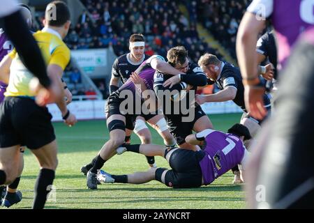 Newcastle, Großbritannien. Februar 2020. Newcastle UPON TYNE, ENGLAND - 16. FEBRUAR George McGuigan von Newcastle Falcons wird während des Greene King IPA Championship Matches zwischen Newcastle Falcons und Cornish Pirates im Kingston Park, Newcastle am Sonntag, 16. Februar 2020, hoch in Angriff genommen. (Credit: Chris Lishman/MI News) Credit: MI News & Sport /Alamy Live News Stockfoto