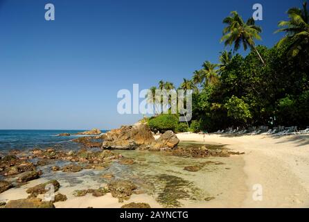 Sri Lanka, Mirissa, geheimer Strand Stockfoto