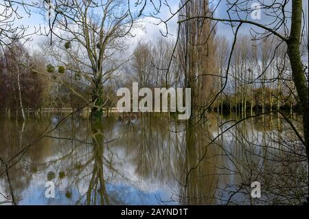 Flooding, Datchet Golf Club, Berkshire, Großbritannien. Februar 2014. Die Themse platzt nach starken Regenfällen und überschwemmte den Datchet Golf Club. Kredit: Maureen McLean/Alamy Stockfoto