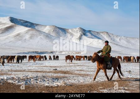 Herder verlagern eine Pferdeherde auf eine Winterweide in der Nähe von Ulaanbaatar, der Mongolei. Stockfoto