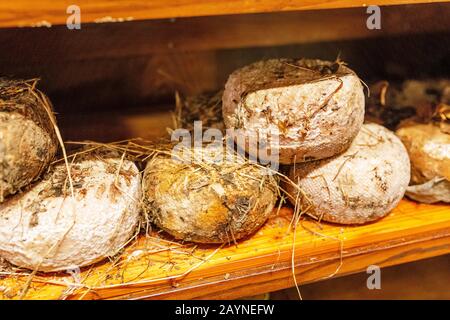 Ein Satz alter traditioneller toskanischer Pecorino-Käse. Konzept der italienischen Küche Stockfoto