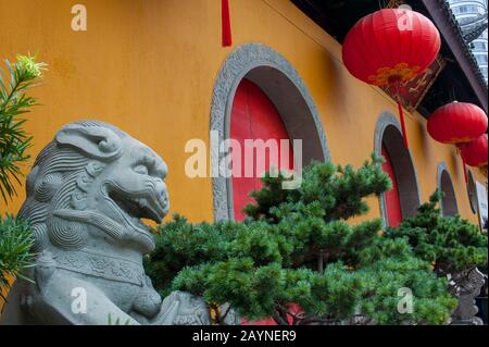 Wächter aus Löwenstein und rote Laternen vor dem Jade Buddha-Tempel, einem buddhistischen Tempel in Shanghai, China. Stockfoto