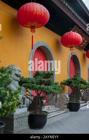 Wächter aus Löwenstein und rote Laternen vor dem Jade Buddha-Tempel, einem buddhistischen Tempel in Shanghai, China. Stockfoto