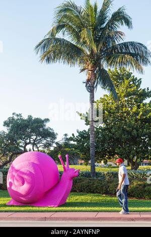 Miami Beach Florida, Dade Boulevard, Art Basel, rosa Schnecke, Installation, Besucher reisen Reise touristischer Tourismus Wahrzeichen Kultur cultura Stockfoto