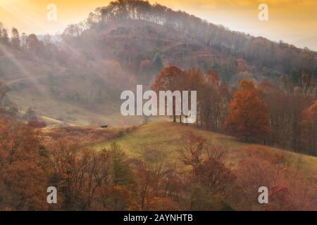 Der Morgen glüht über dem Tal mit Herbstfarben in den Bergen von North Carolina Stockfoto