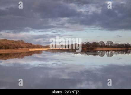 Blick über Ormesby Broad an einem eiskalten Wintermorgen, Norfolk, East Anglia, Großbritannien Stockfoto