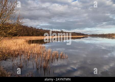 Blick über Ormesby Broad an einem eiskalten Wintermorgen, Norfolk, East Anglia, Großbritannien Stockfoto