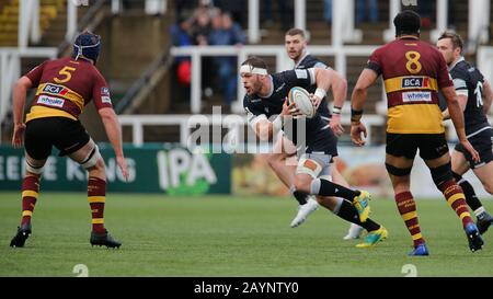 Newcastle, Großbritannien. Februar 2020. Newcastle UPON TYNE, ENGLAND - 16. FEBRUAR Wird Welch von Newcastle Falcons bei dem Angriff während des Greene King IPA Championship Matches zwischen Newcastle Falcons und Cornish Pirates im Kingston Park, Newcastle am Sonntag, 16. Februar 2020. (Credit: Chris Lishman/MI News) Credit: MI News & Sport /Alamy Live News Stockfoto