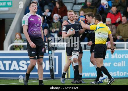 Newcastle, Großbritannien. Januar 2019. Newcastle UPON TYNE, ENGLAND - 16. FEBRUAR Callum Chick von Newcastle Falcons feiert seinen Versuch während des Greene King IPA Championship Matches zwischen Newcastle Falcons und Cornish Pirates im Kingston Park, Newcastle am Sonntag, 16. Februar 2020. (Credit: Chris Lishman/MI News) Credit: MI News & Sport /Alamy Live News Stockfoto