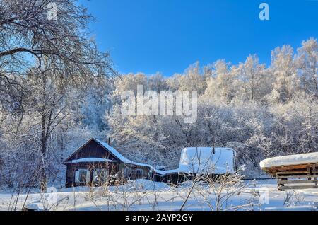 Altes hölzernes Dorfhaus am Rande des Winterwaldes mit Lacy Kronen von schneebedeckten Bäumen. Wunderschönes frostiges, sonniges Wetter und blauer Himmel. Winterland Stockfoto