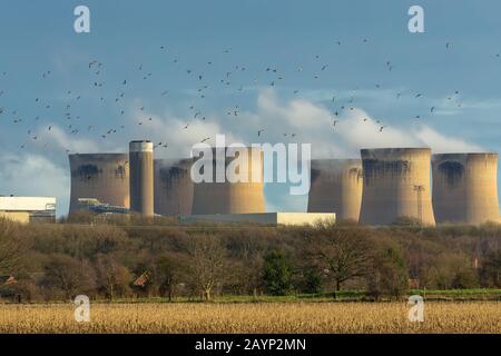 Das Dorf Barlow in der Nähe von Drax in North Yorkshire mit Holztauben, die um die Kühltürme einer Stromstation in Drax herumfliegen. Querformat Stockfoto