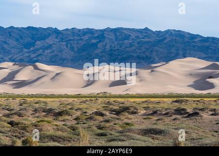 Blick auf die Sanddünen der Hongoryn Els in der Wüste Gobi im Süden der Mongolei. Stockfoto