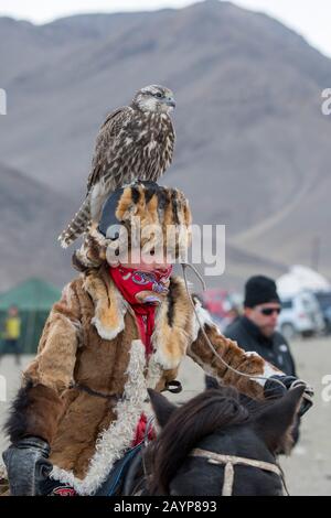 Ein Teenager mit einem Sakerfalken (Falco cherrug) auf dem Kopf beim Golden Eagle Festival in der Nähe der Stadt Ulgii (Ölgii) in der Provinz Bayan-Ulgii Stockfoto