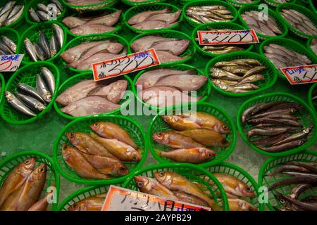 Nahaufnahme von frischem Fisch zum Verkauf auf Dem Omicho Ichiba Markt, der ein lebhafter überdachter Lebensmittelmarkt in Kanazawa, Präfektur Ishikawa, auf Honshu Island, Jap Ist Stockfoto