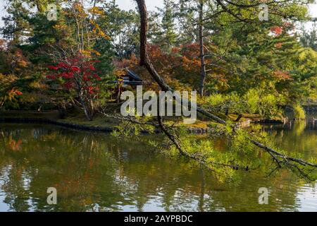 Ein Teich vor dem Todai-JI (östlicher Großer Tempel), ein buddhistischer Tempelkomplex in der Stadt Nara, Japan. Stockfoto