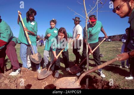 Austin, Texas USA: Eine Gruppe ethnisch vielfältiger Jugendlicher pflanzt einen Baum in einem Austin Park. ©Bob Daemmrich Stockfoto