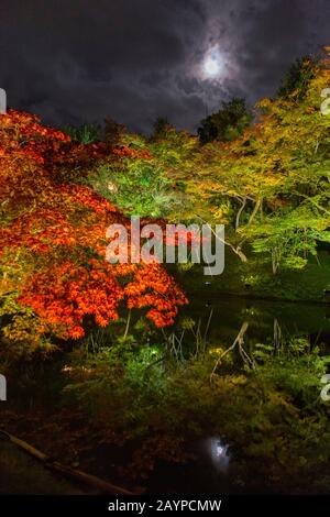 Der Garten des Kodai-JI-Tempels, der sich am Fuße des Higashiyama Ryozen Mountains im japanischen Kyoto befindet, mit Bäumen in Herbstfarben beleuchtet Stockfoto