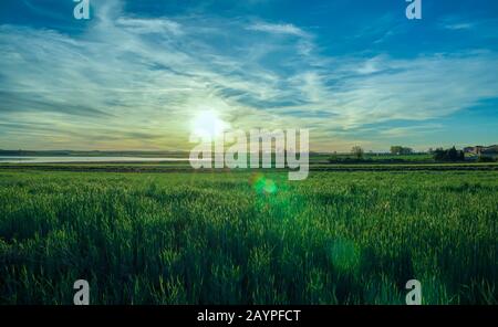 Schöne Landschaft, grüne Rasenwiese mit Frühlingssonne und blauem Himmelshintergrund bei Sonnenuntergang mit schönen Lichtstrahlen Stockfoto