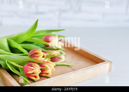 Wunderschöner roter und gelber Blumenstrauß aus Tulpenblumen auf weißem Regal vor weißer Ziegelwand. Kopierbereich. Stockfoto