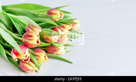 Wunderschöner roter und gelber Blumenstrauß aus Tulpenblumen auf weißem Regal vor weißer Ziegelwand. Kopierbereich. Stockfoto