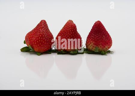 Schließen Sie Drei große Erdbeeren in einem Reihenstudio ab Stockfoto