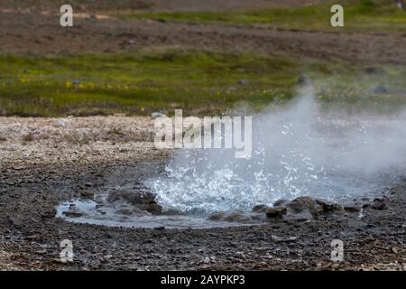 Heiße Quellen sprießen Wasser bei Hveravellir, einem geothermischen Gebiet aus Fumarolen und bunten heißen Pools im zentralen Hochland von Island. Stockfoto