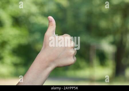 Picknick-Daumen nach oben Handzeichen Baby-Hand zeigt Daumen nach oben, wie ok positive Hand-Geste. Stockfoto