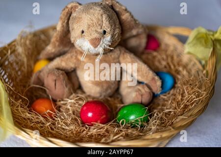 Gefüllte osterhase sitzt im Strohkorb mit rot, grün, orange, blau und gelb gekochten Eiern. Kaninchen sieht freundlich zur Kamera aus. Hoch Stockfoto